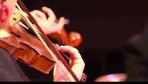 Vivaldi: Concierto para laúd en Re M. RV 93. Sphera AntiQva