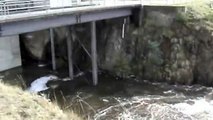 Derwent Valley Floods - Repulse & Cluny Dams Spilling August 2009