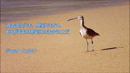 人生を見直すきっかけになる名言～ジャック・ウェルチ～鈴木裕喜デザインoffice（熊本）