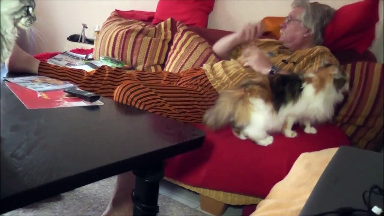 Deckakt 27.04.2013 Lilly und Pepe