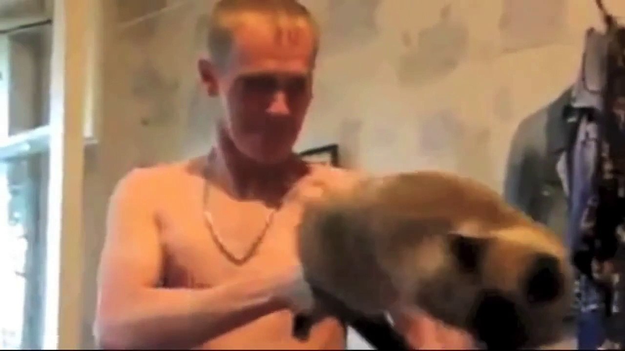 FUNNIEST CATS HQ