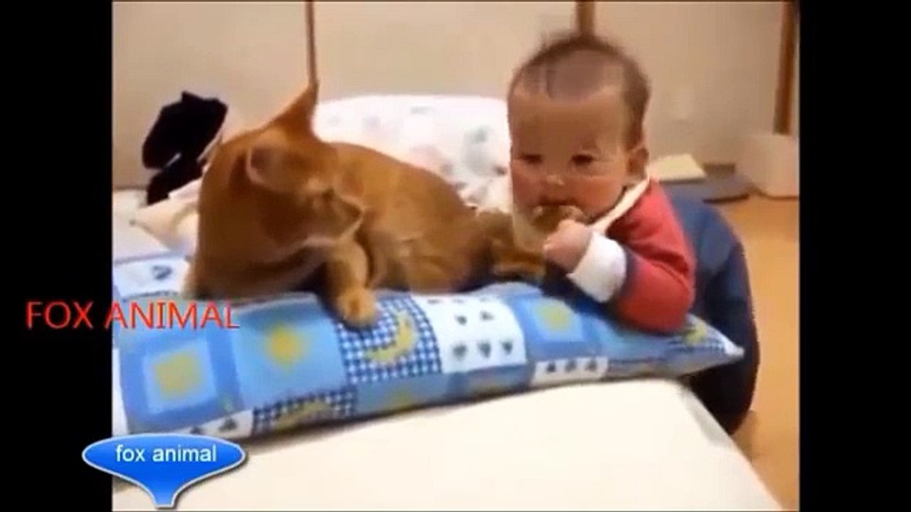 Crazy animals attack humans  Animal attacks on humans caught on tape