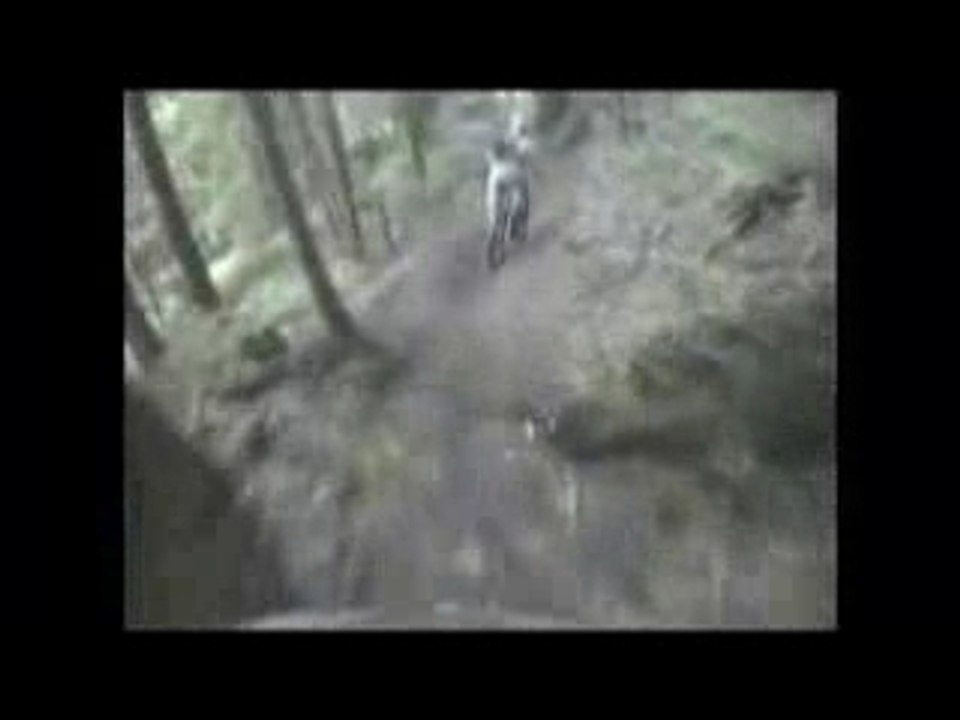 Descente vtt xtrem