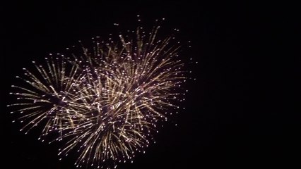 Feu d'artifice du 14 Juillet 2015 au Mans