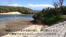 沖縄キャンプスポット　備瀬ビーチ