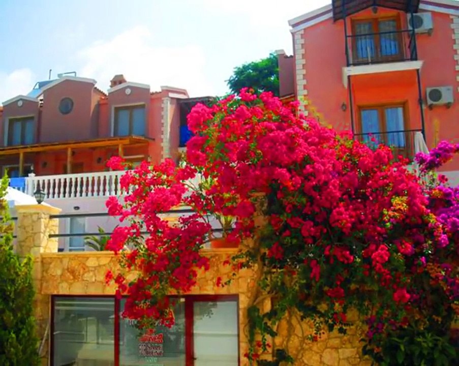 Villa Kuluhana