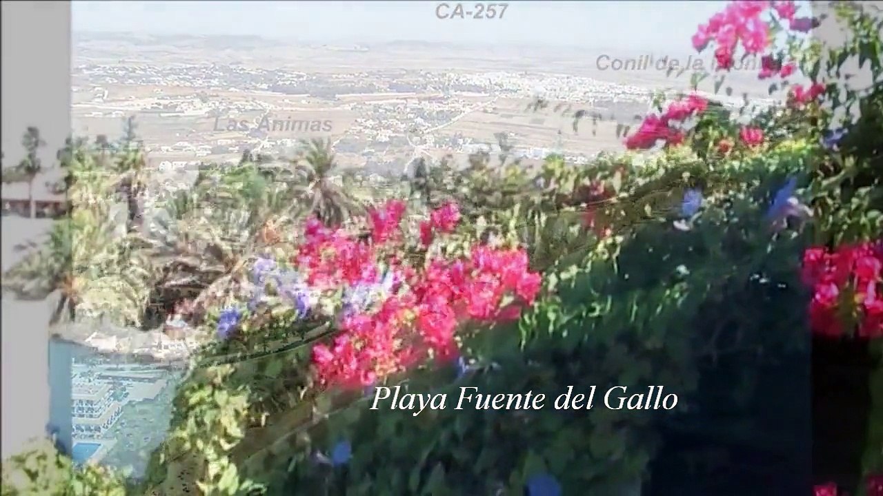 Conil de la Frontera (Cádiz) Playa Fuente del Gallo 16 agosto 2013