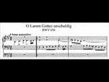 J.S. Bach - BWV 656 - O Lamm Gottes unschuldig