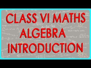 Master Algebra: Essential Concepts for Class VI Students ✏️