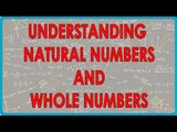 Mathematics Class VI - CBSE, ICSE and NCERT  Understanding Natural Numbers and Whole Numbers