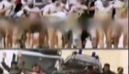 شال سلاح الكل شال أهداء لحركة فتح و خصوصا دحلان