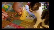 Funny and cute animal compilation - Funny and cute animal compilation cartoons