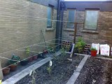 Design ideas grow your own Raspberry T-bar and upright sleeper raised beds