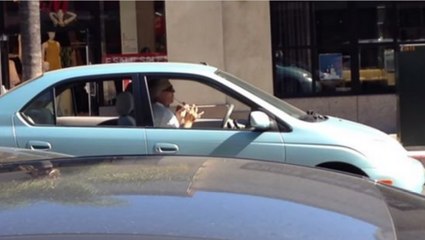 World's Most Enthusiastic Flutist Found Driving In Pasadena