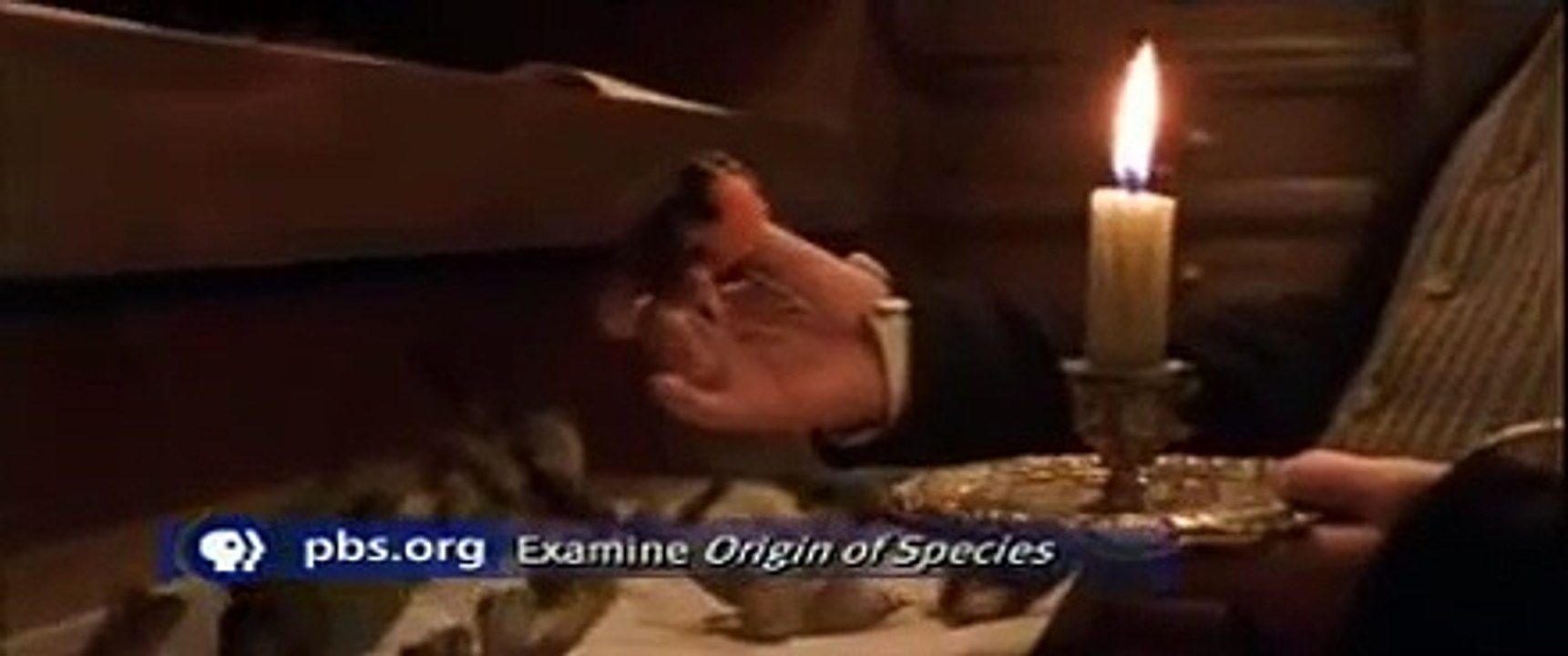 Evolution Ep1: Darwin's Dangerous Idea (2/11)