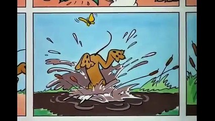 NEW  MICKEY MOUSE, DONALD DUCK, CHIP 'n' DALE & PLUTO ♥☀♥ THE CLASSIC CARTOONS