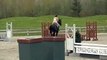 Donatelli (Donnerhall/Pik Bube) Premium Oldenburg Stallion