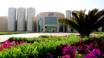 الفيلم الوثائقي - مخبوزات لوزين من المراعي HD