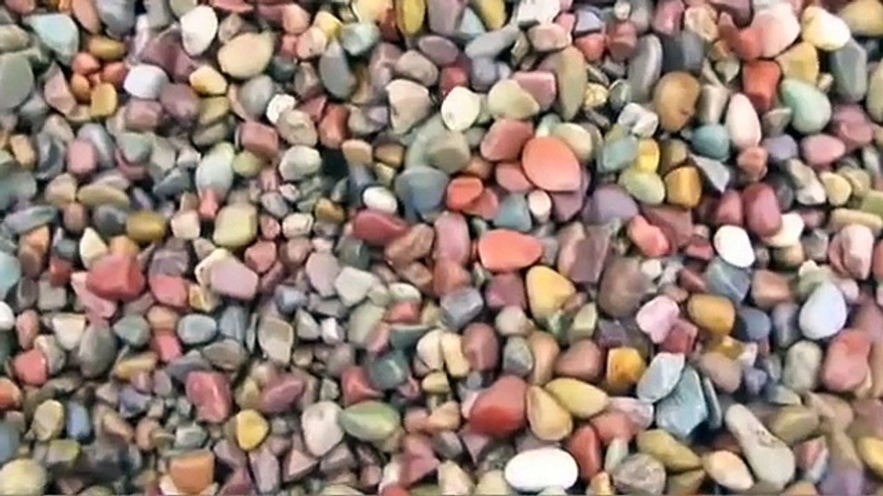 Buskirk Engineering - Pellet Mill Operation Video COMPLETE