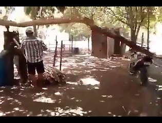 Great Sugarcane juice machine paksitani jagaar