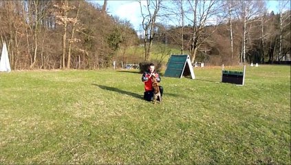 Presa Canario-Team Asturbull