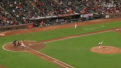 Baseball fan jumped for a ball in the water