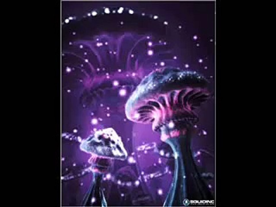 Bizzare Contact - Freedom