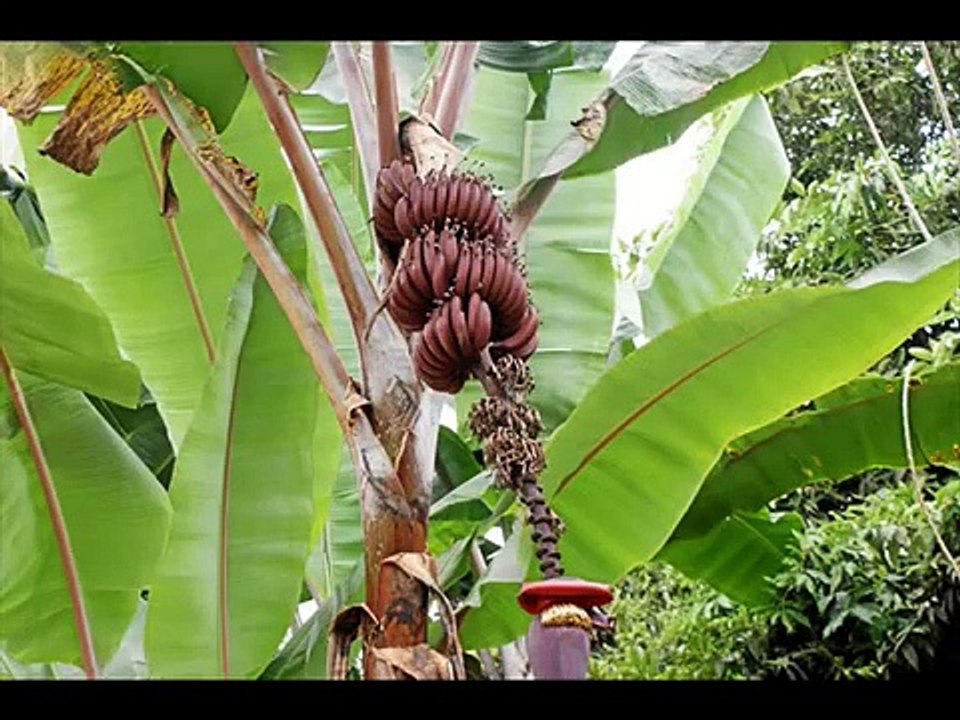 AVISO AL MUNDO,URGENTE URGENTE URGENTE ULTRASECRETO