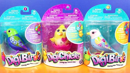 DigiBirds DigiChicks & Swing & Seesaw Birdhouse Sing-a-long birds that tweet & sing together