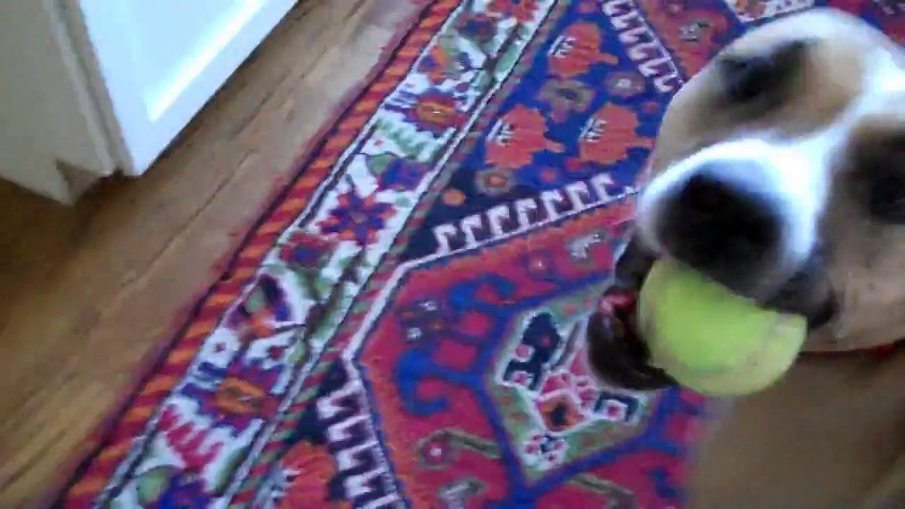 Ruby Dooby Doooo