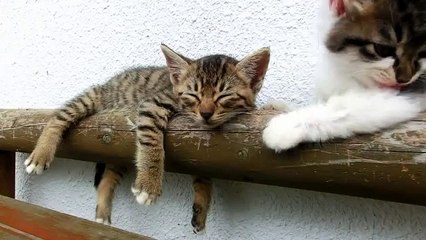 VID-20150714-WA0007.mp4