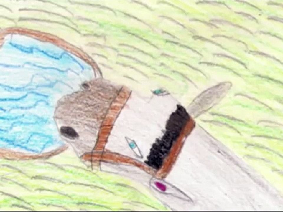 Platero y yo. Capítulo 1