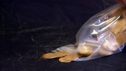 Nazi gold hoard uncovered in Germany