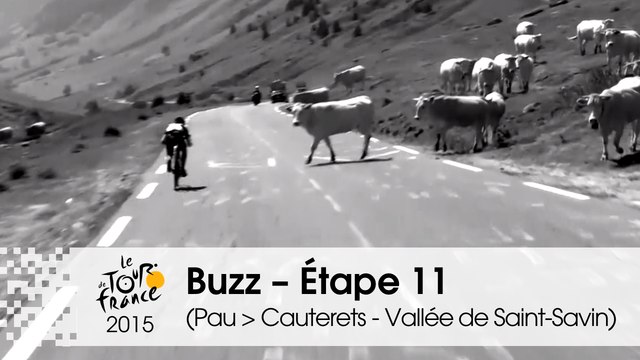Buzz du jour / Buzz of the day - Étape 11 (Pau > Cauterets - Vallée de Saint-Savin) - Tour de France 2015
