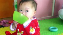 The Weaton Family:  Our Chinese Adoption Journey