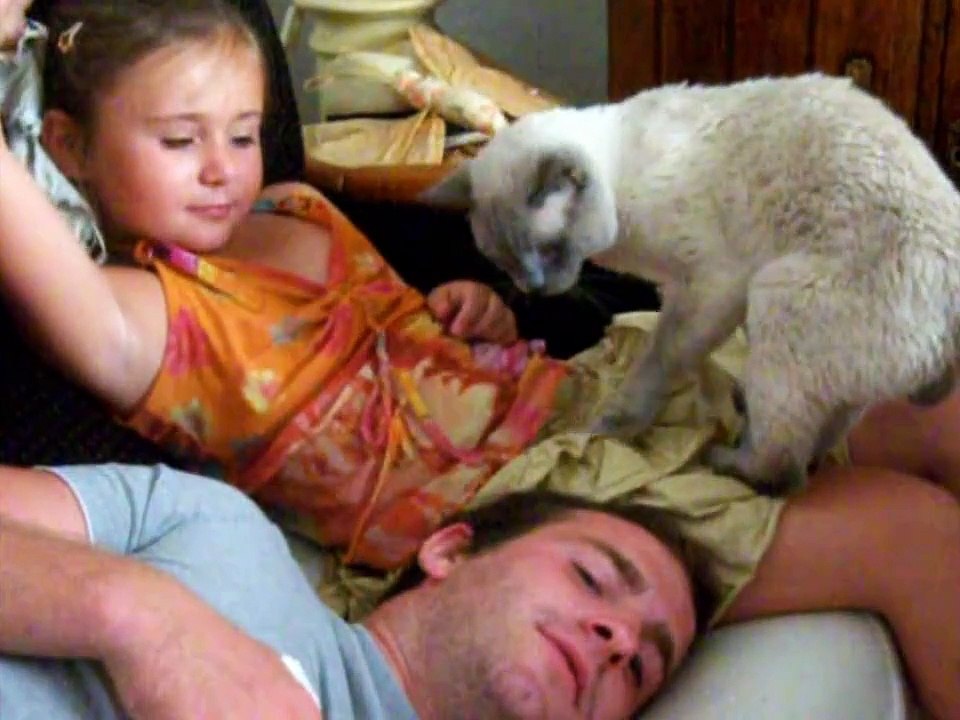 le chat.