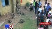 Monkey terror grips Banaskantha residents - Tv9 Gujarati