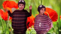 Cute Letter F for Kids | Happy Alphabet | Creative ABC Kids Song | Original Children Music