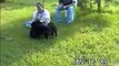 German Shepherd Puppies Vom Barron's Pride of Florida WRATH puppies born 4 10 2009 Outing 6 11 09