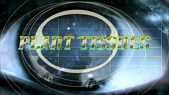 Class IX - Biology - Plant Tissues (Introduction) & Meristematic Tissues