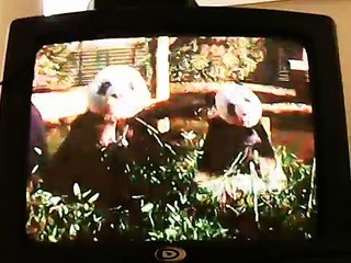 Cartoon Network commercial break (5-10-08) #4