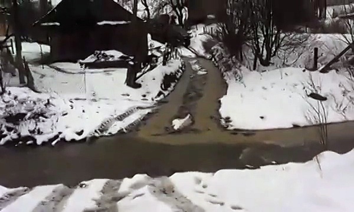 chauffeur de camion fraîche irréel
