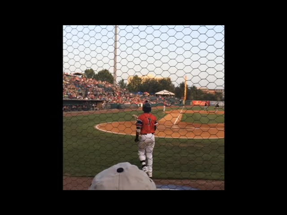 Dog acts as "bat boy" for pro baseball team