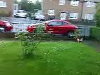 BALD BRITNEY SPEARS UK CAR ATTACK