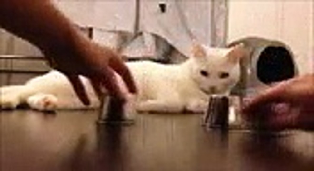VID-20150709-WA0011.mp4