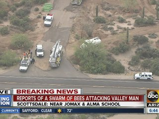 Person stung by over 100 bees in Scottsdale