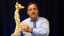 Chiropractic wellness care, Best chiropractor for injury treatment, Tampa FL