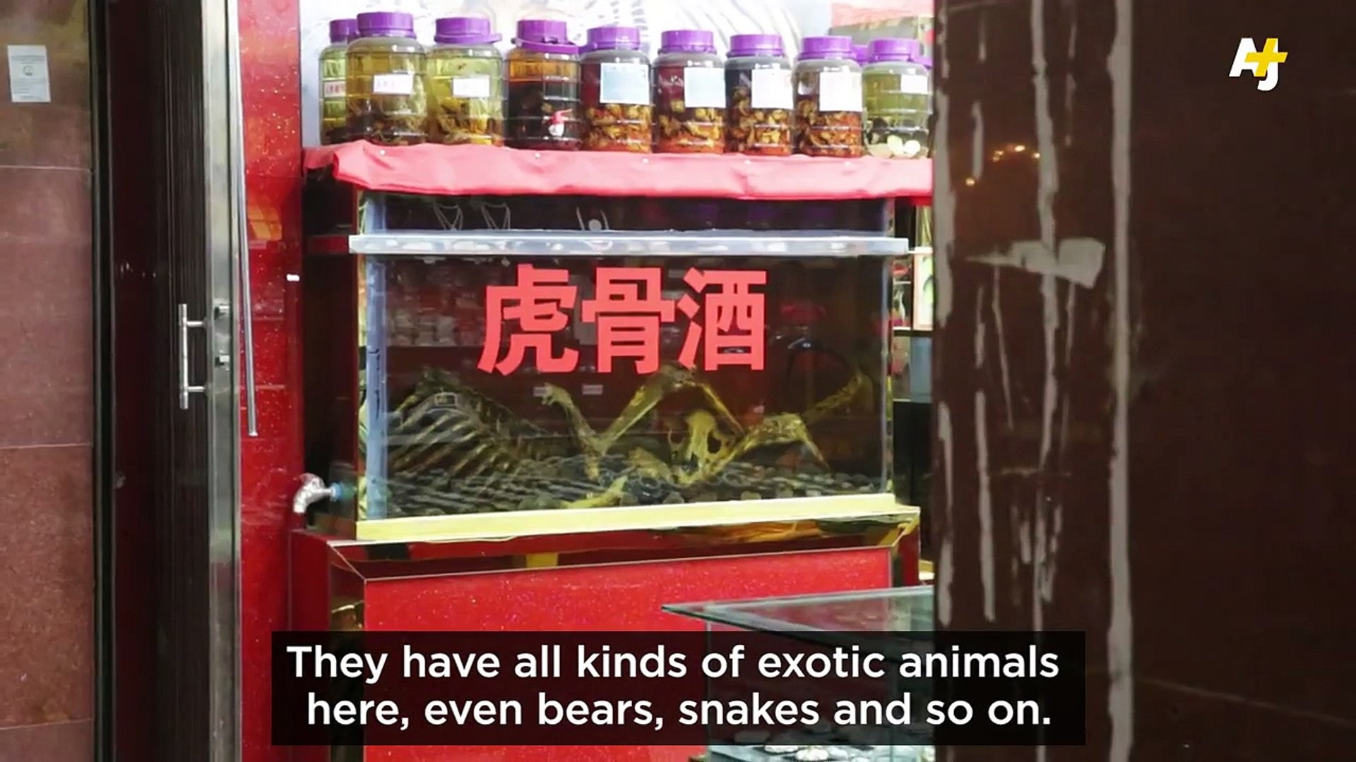 ⁣Killing Endangered Animals: A Lawless Border Town Where Trade Is Thriving
