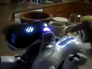 AIBO ERS-7M3 doing what they do