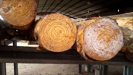 ASERRADERO TAP MADERAS